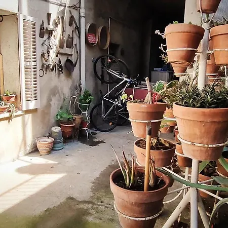 Volca Aiguanegra Apartamento